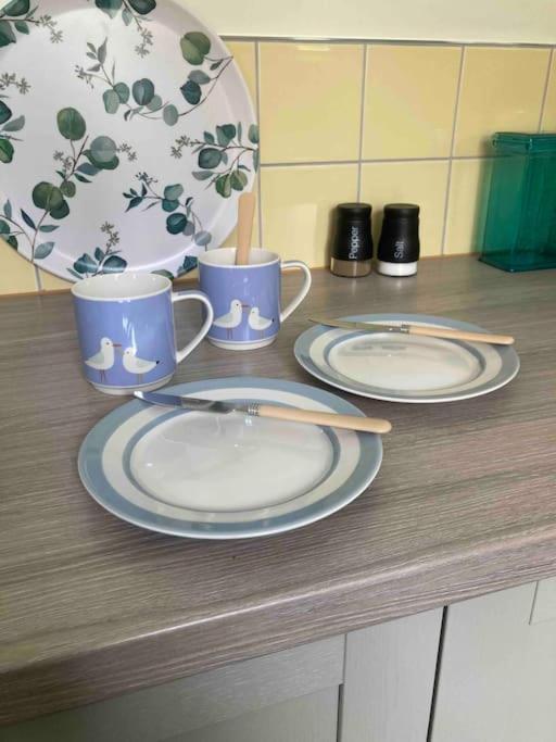 פורטסמות' Spacious Semi-Detached Southsea House, Free Parking On Drive מראה חיצוני תמונה